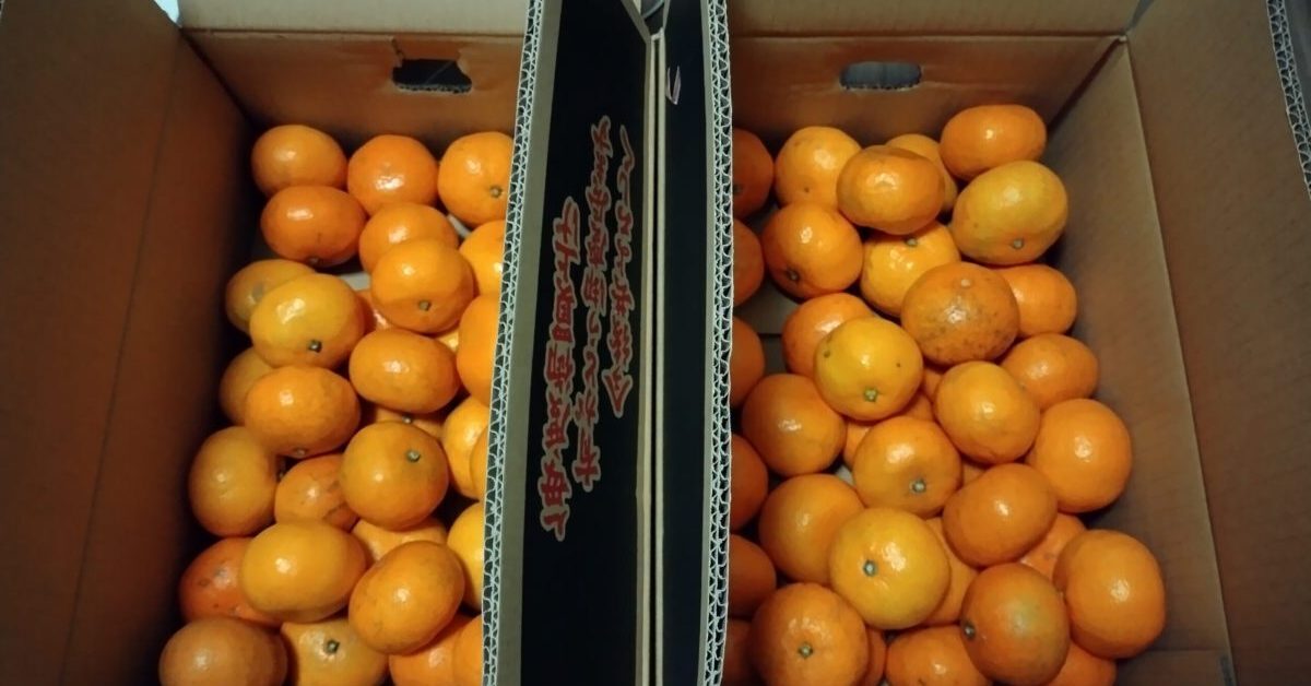 箱みかん