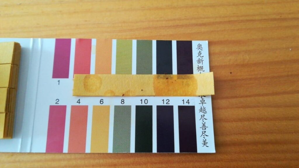 リトマス紙試験結果
