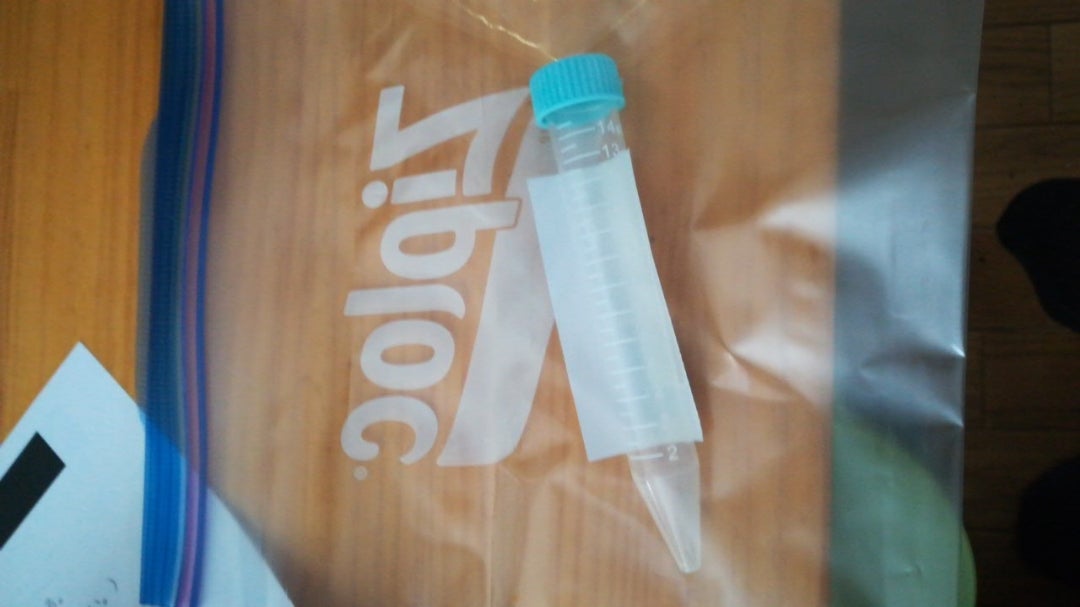 コロナ検査キット