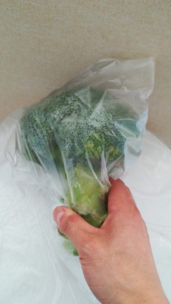 八百八で購入したブロッコリー