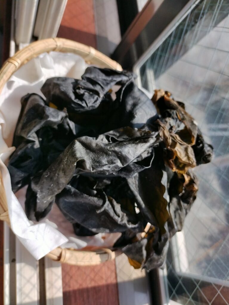 出汁昆布完成品