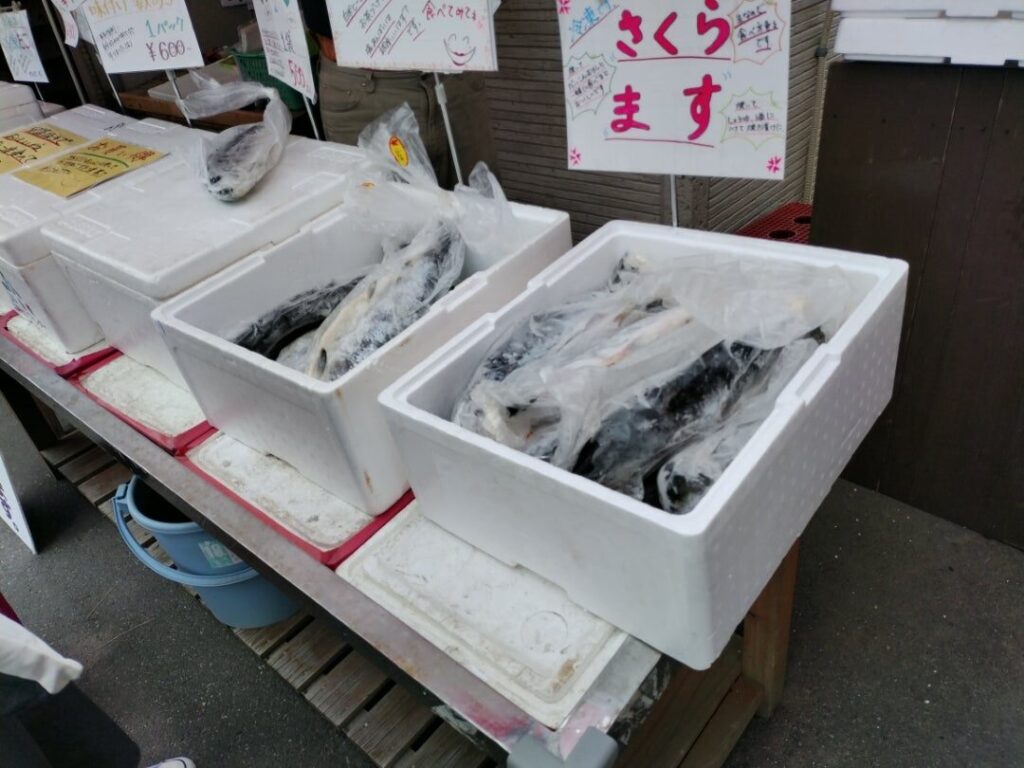 サクラマスの販売