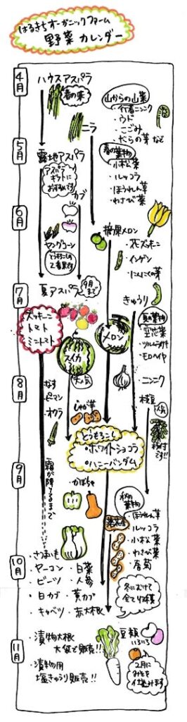 野菜カレンダー