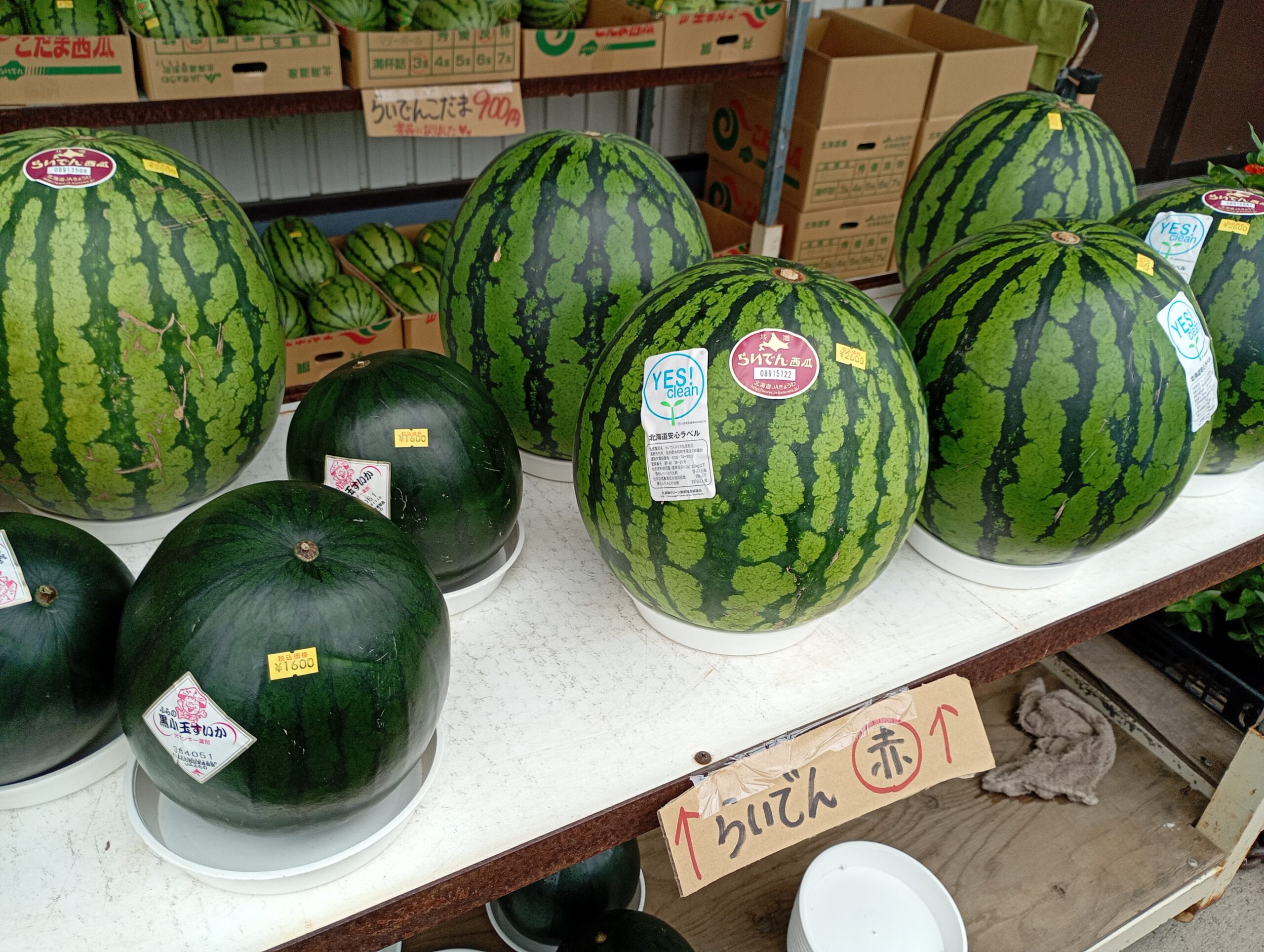 すいか