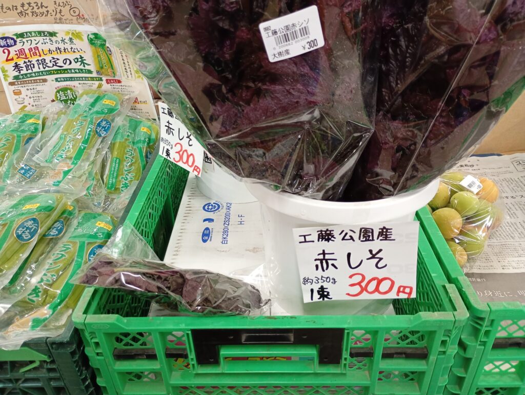 赤しそ