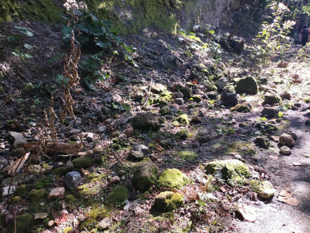 苔の回廊の景色２