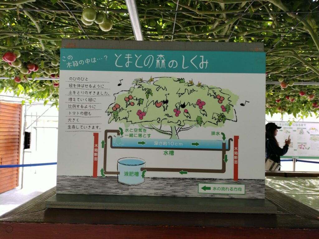 トマトの森のしくみ