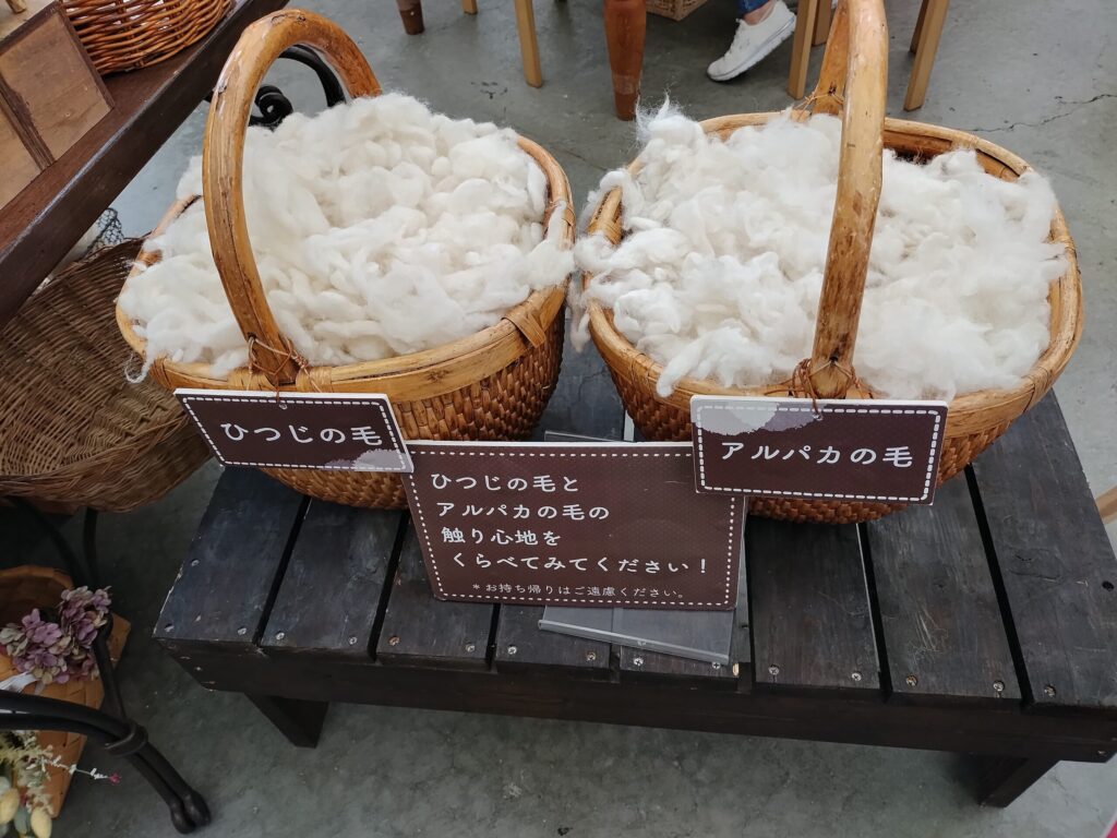 羊とアルパカの毛