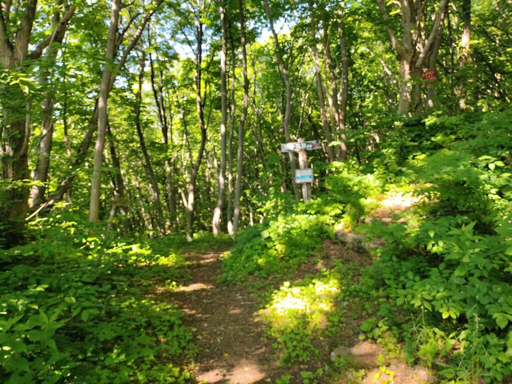 山中海岸海岸への道のり１