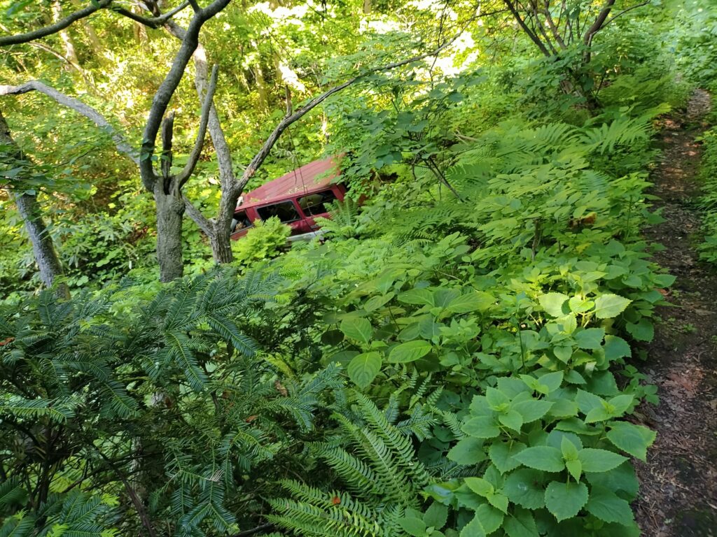 山中海岸への道のり２車