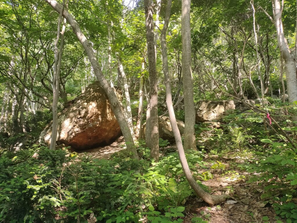 山中海岸への道のり３