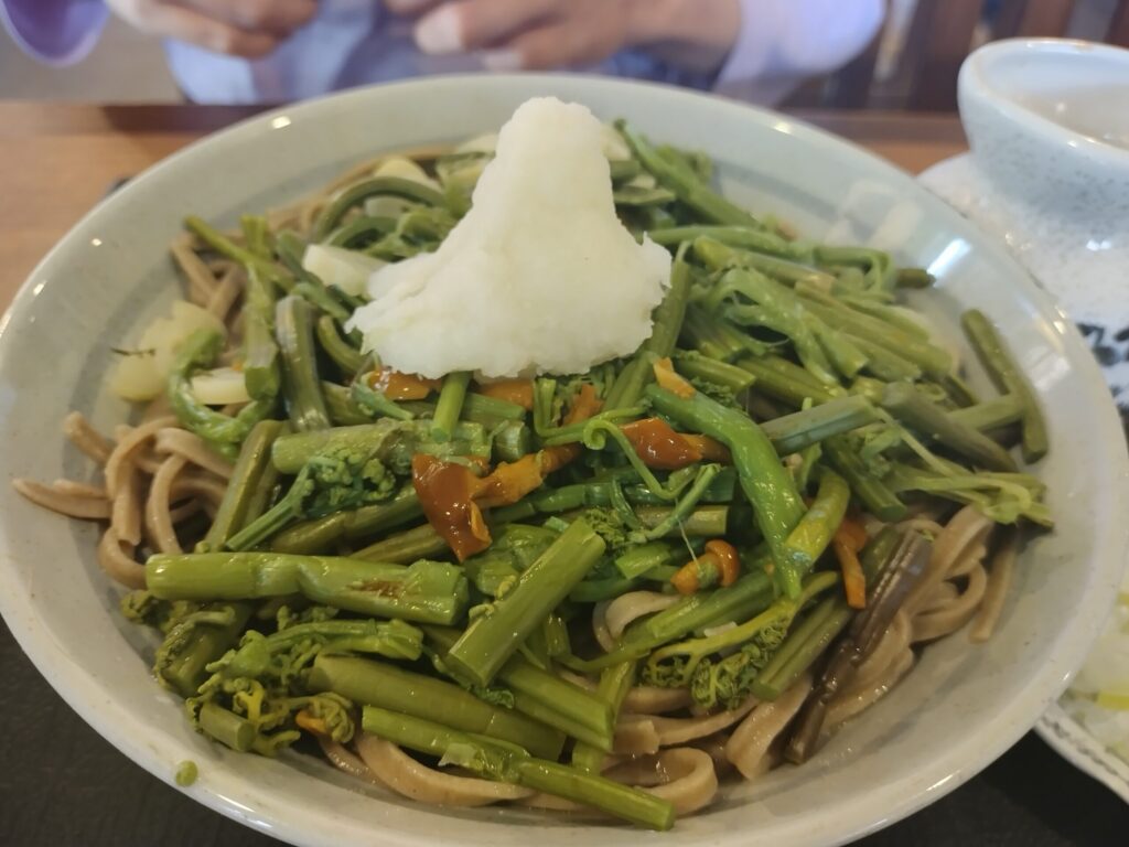 山菜そばアップ