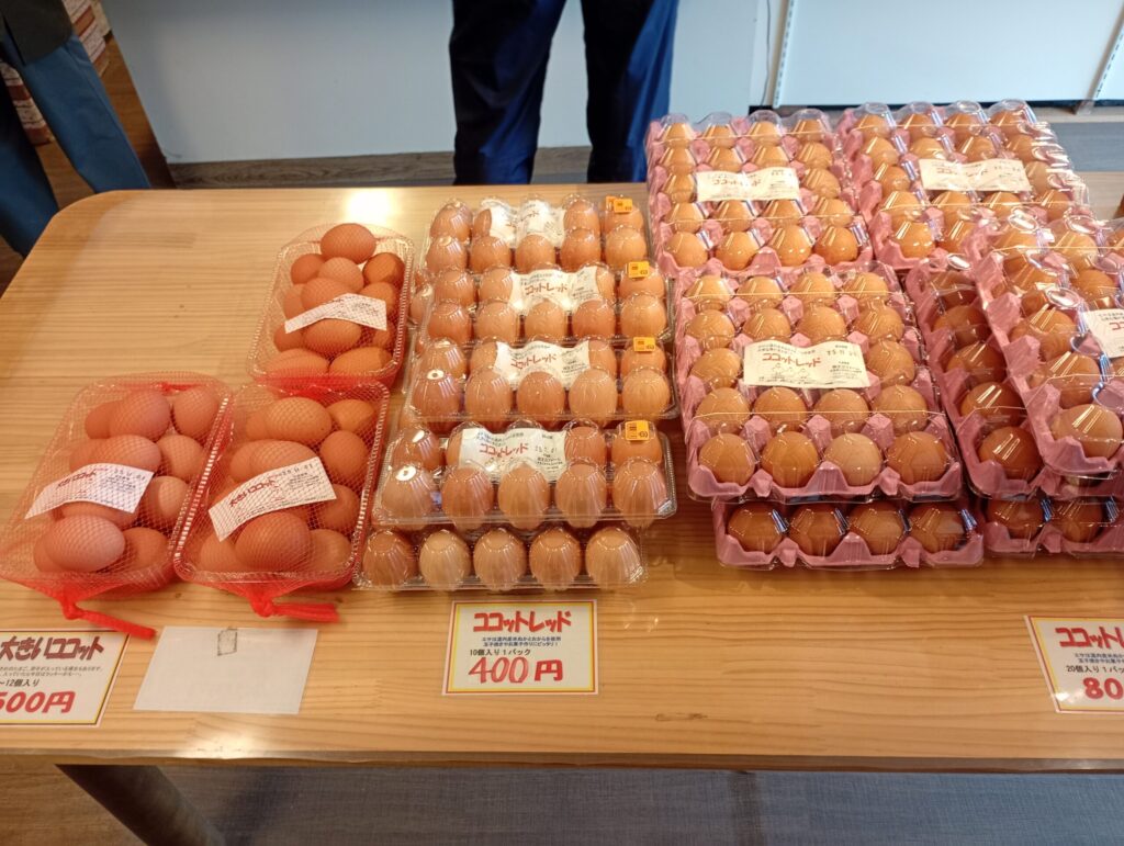 ココットレッド