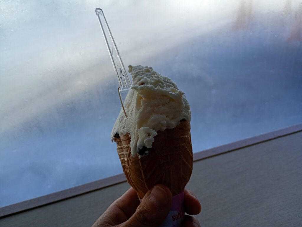 ラムレーズンと羊蹄山