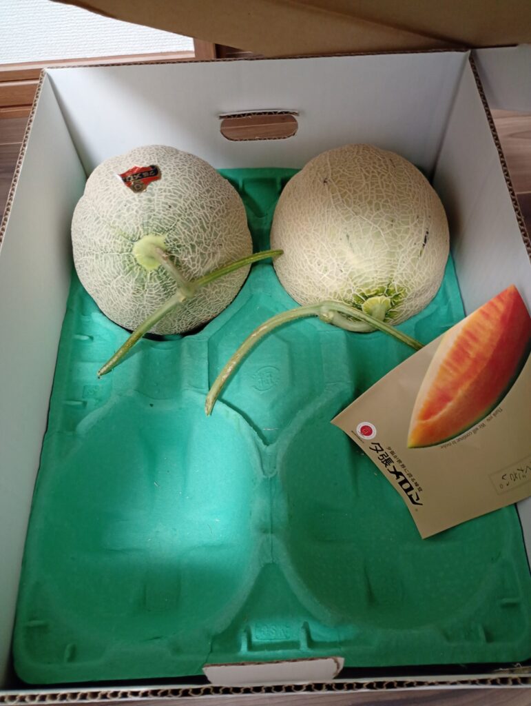 購入したメロン