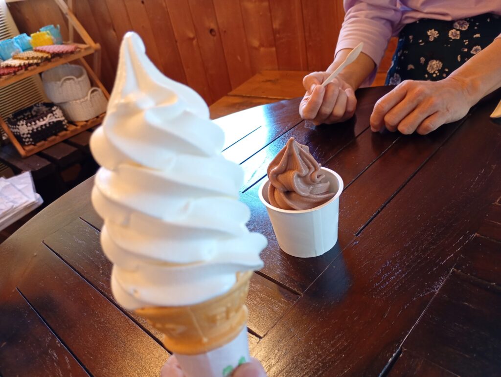 バニラレギュラーとチョコハーフ