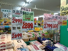 マンボウ米価格1